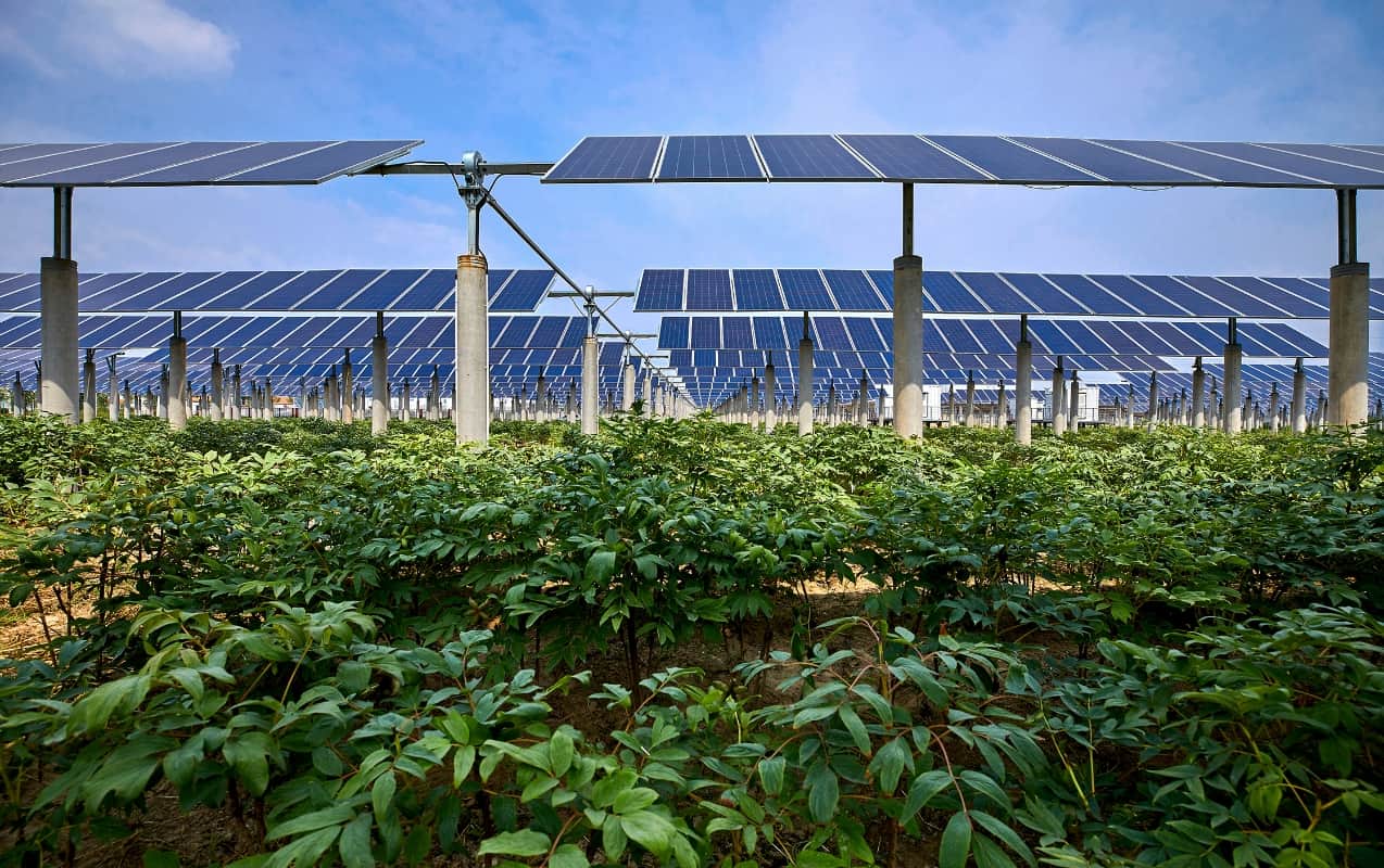 営農型太陽光